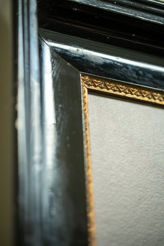 Black Swan framed in black