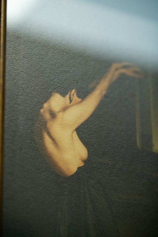 Black Swan in 3D Frame