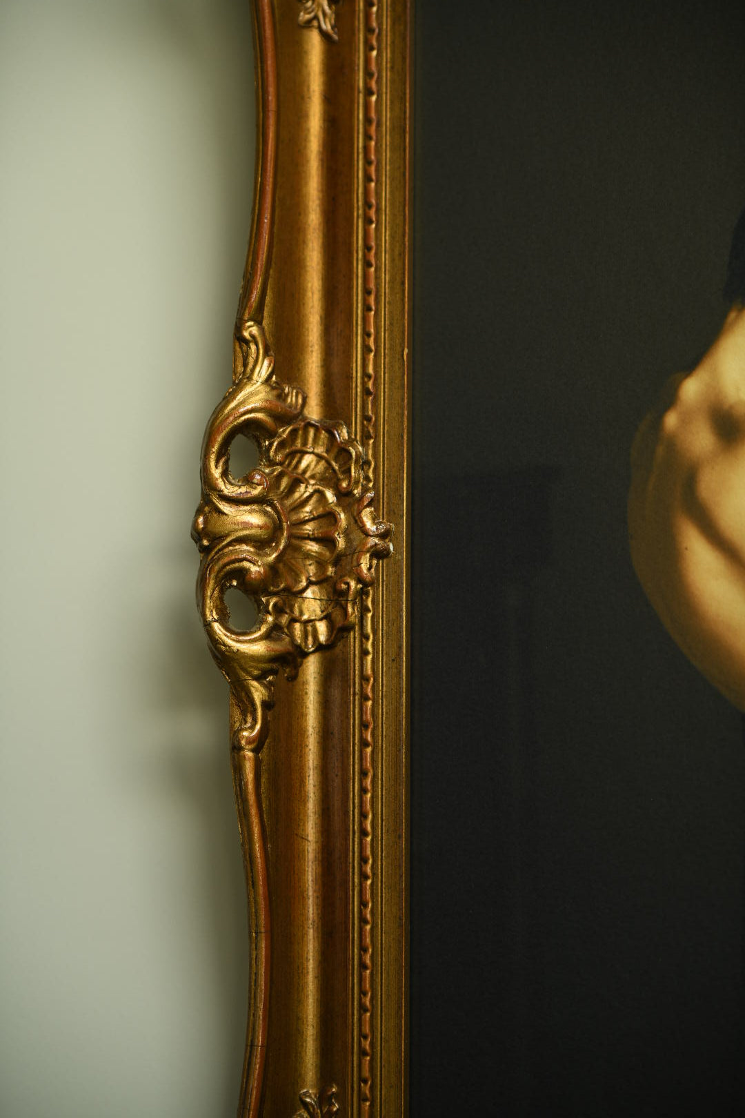 Black Swan framed in ornament