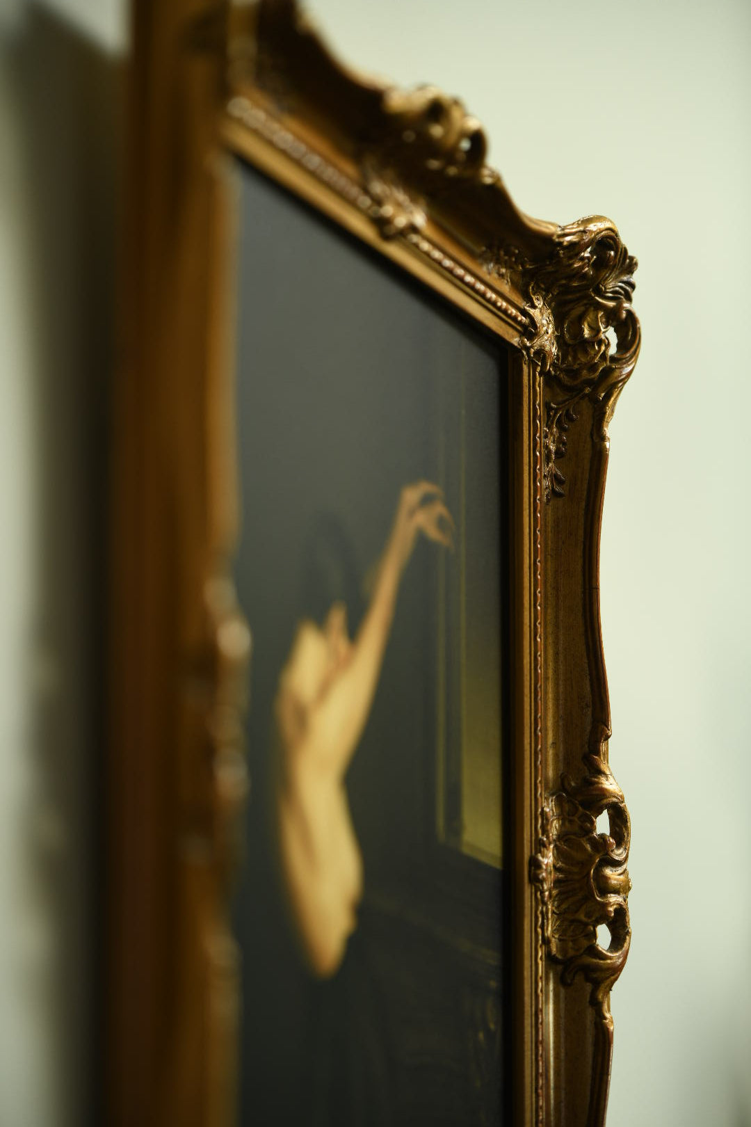 Black Swan framed in ornament