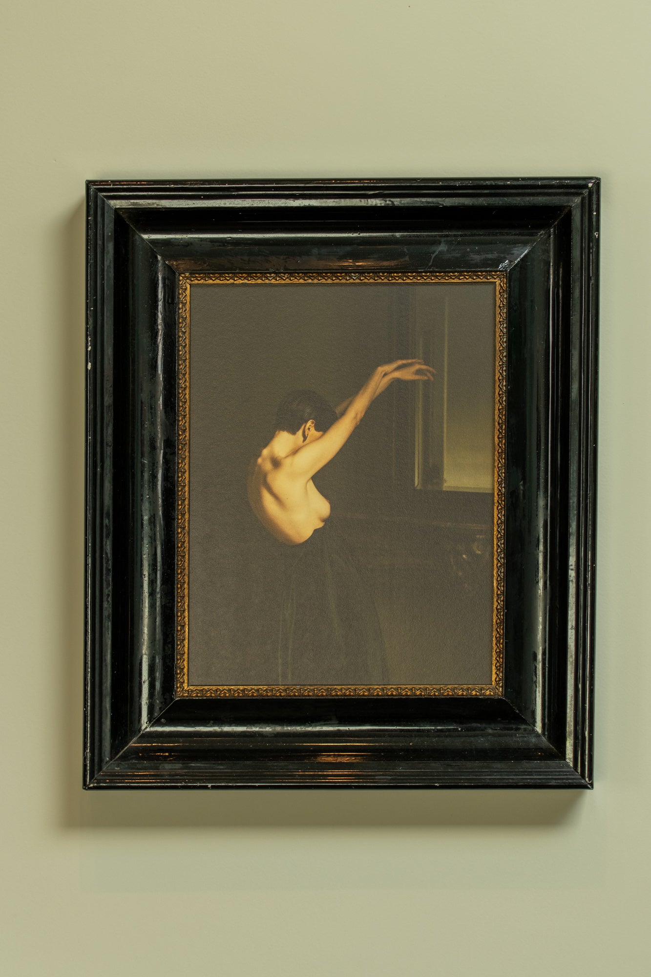 Black Swan framed in black