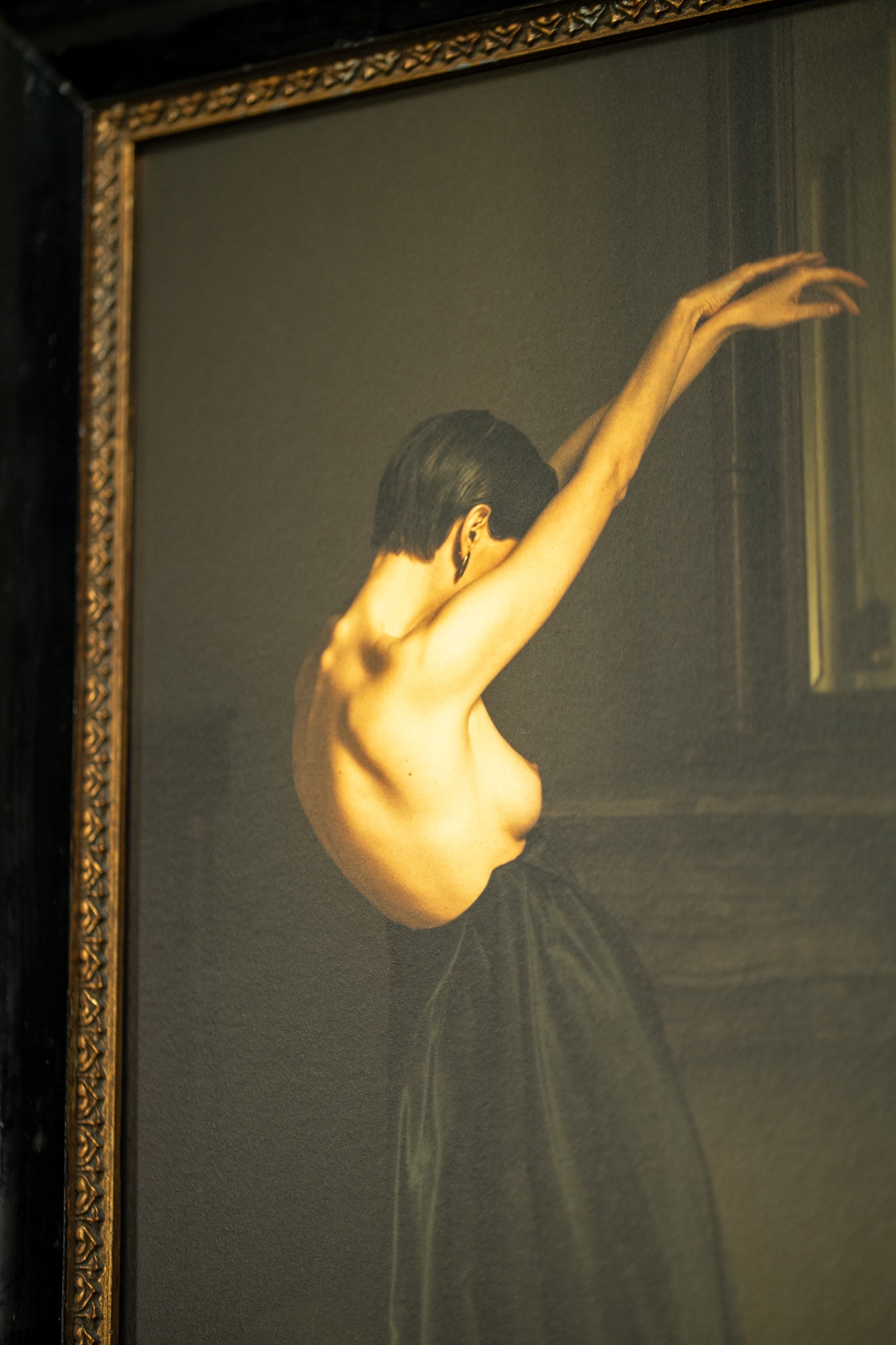 Black Swan framed in black