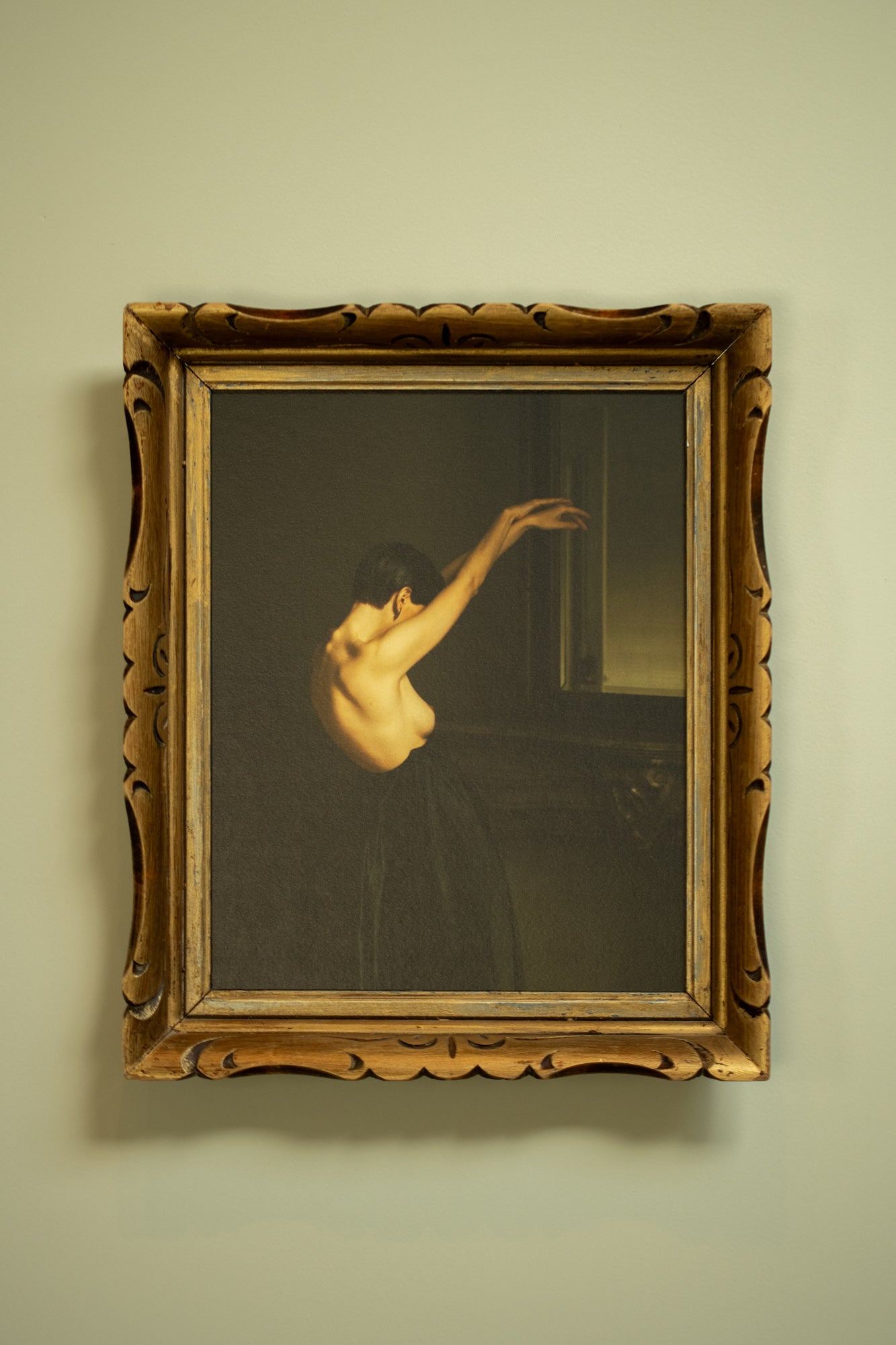 Black Swan Framed in gold