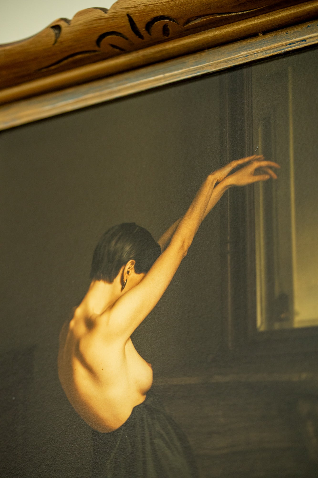 Black Swan Framed in gold