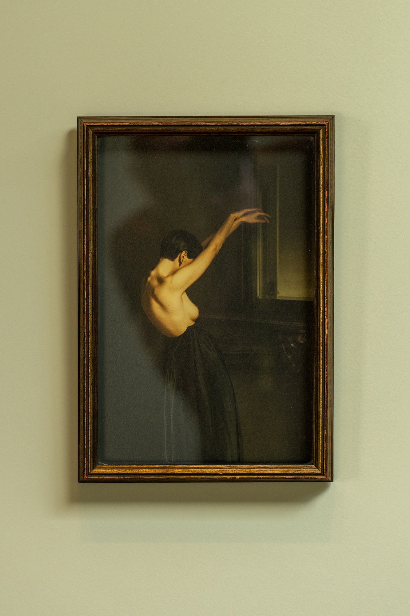 Black Swan in 3D Frame