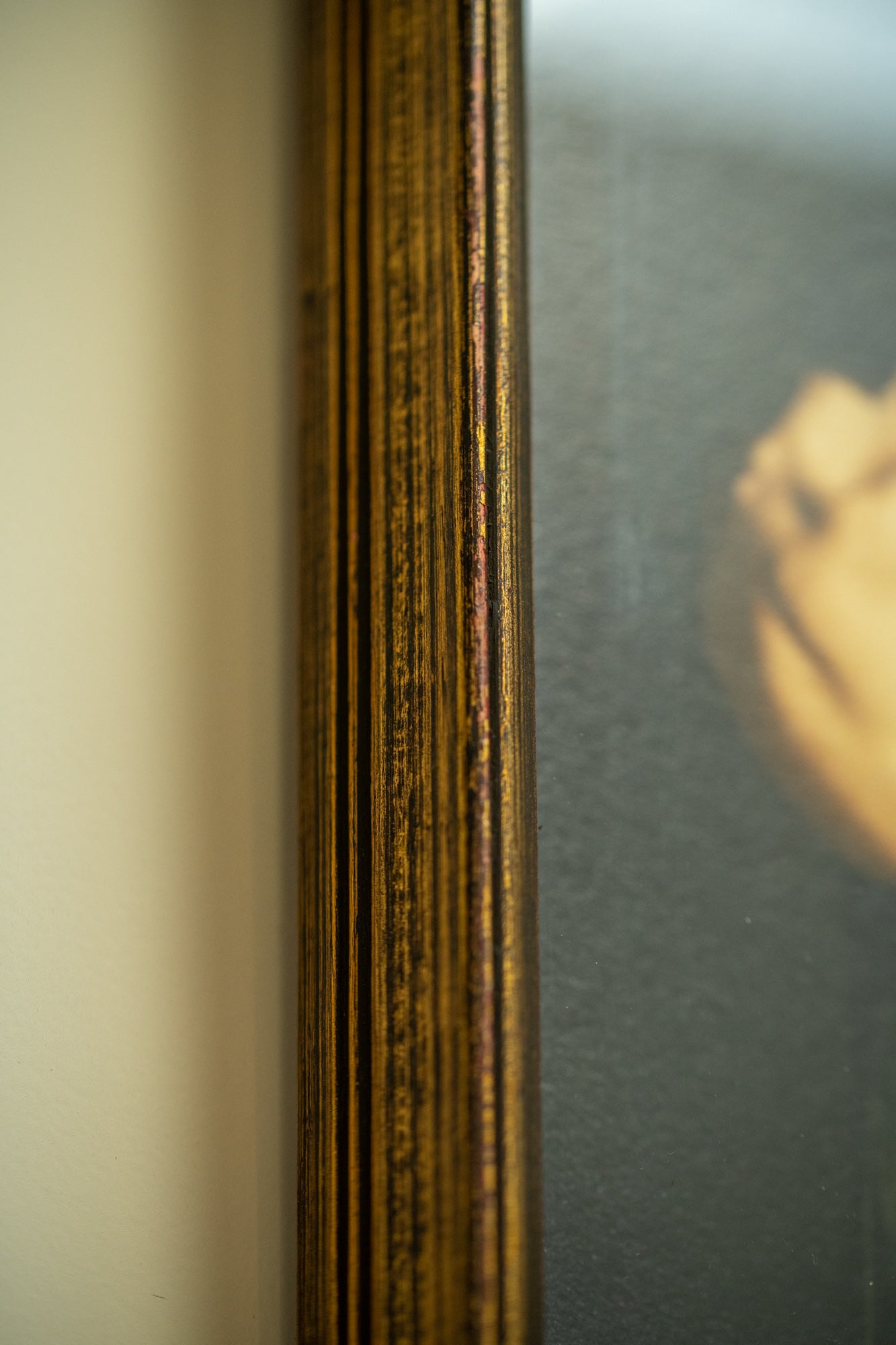 Black Swan in 3D Frame