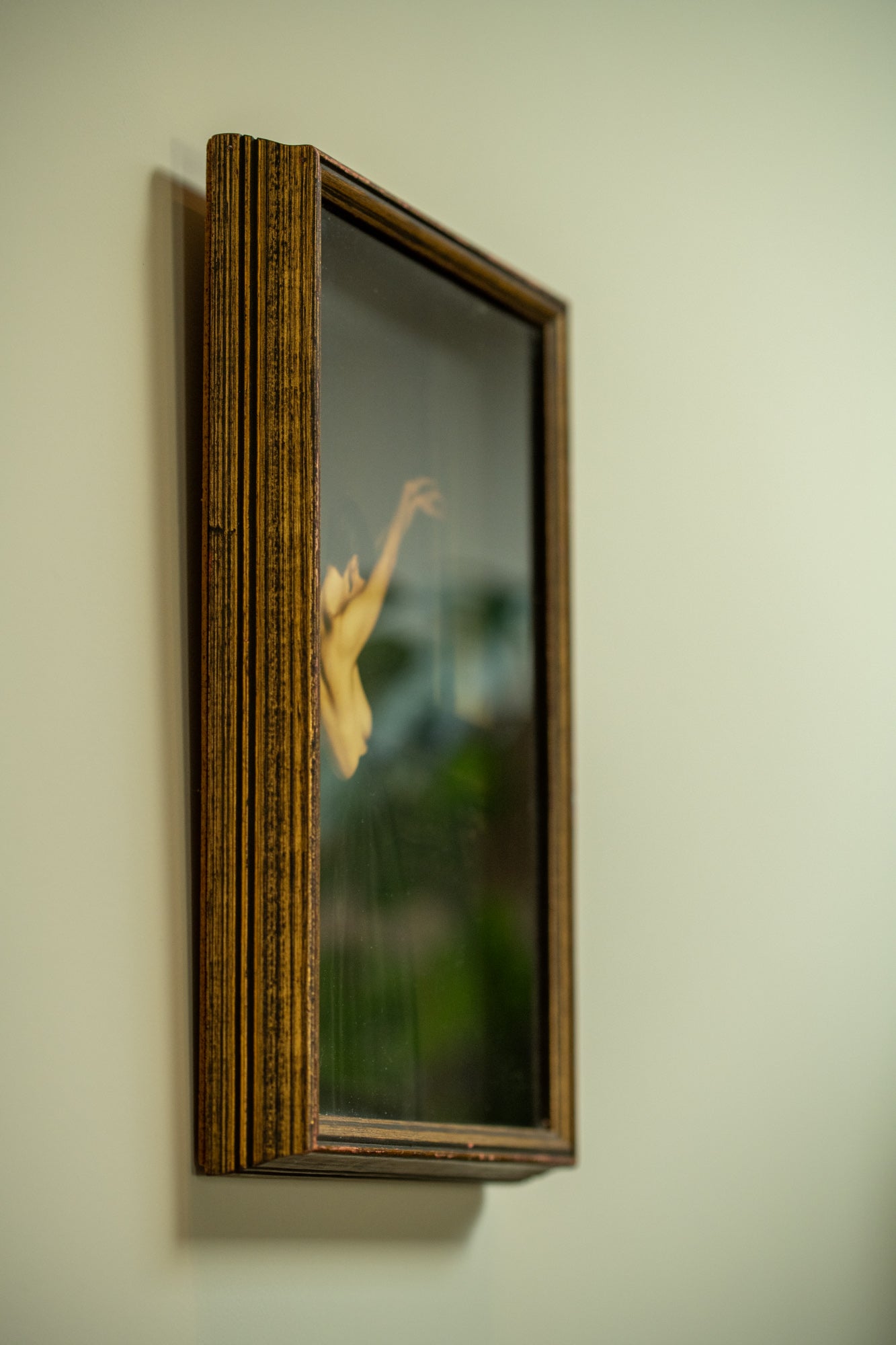 Black Swan in 3D Frame